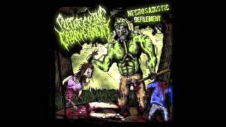 Putrefying Cadaverment  Necrosadistic Defilement Full Album 2008 HD [upl. by Allehcram]