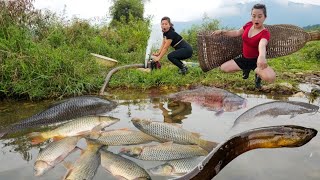 Top video Catching fish fish traps eel traps and using the best water pump to catch fish [upl. by Macfadyn210]