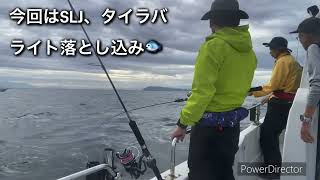 釣ったさかなは鬼絞めが絶対👹チェスト、ライト落とし込み釣行🎣 [upl. by Ynohtnael257]