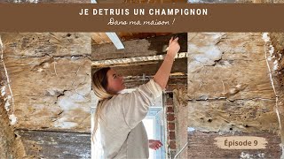 Comment éliminer un champignon sur plancher bois  9 rénovation [upl. by Aihgn]