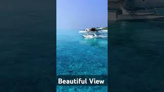 Maldives Dhigurah island 🏝️ vlogers viralvlogs myvlog shortvideo youtubeshorts [upl. by Issi408]