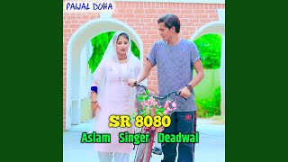 Aslam Singer SR 8080 [upl. by Asimaj374]