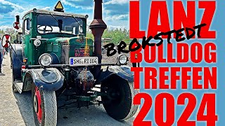 Lanz Bulldogtreffen des LBCH eV in Brokstedt 2024 lanzbulldog classictractor traktor tractor [upl. by Aysa943]