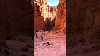 Hiking the Navajo Loop Trail at Bryce Canyon National Park travelvlog nationalpark [upl. by Jarv]