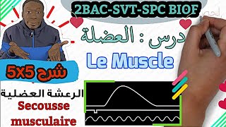 Rôle du muscle strié squelettique dans la conversion de lénergie 2BACSVT Partie 1 [upl. by Nelra]