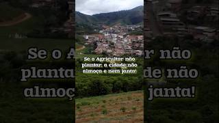 Se o Agricultor não plantar a cidade não se alimenta fazenda roça agro shorts video plantas [upl. by Stilu]