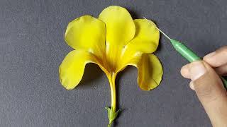 Allamanda flower dissection  Family Apocynaceae  AllAboutBiology [upl. by Kcinnay680]