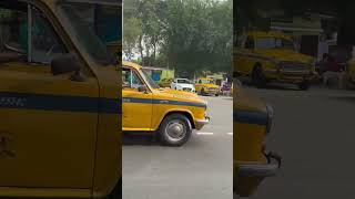 Yellow taxi Kolkata taxi taxiride kolkata kolkatalifestyle bangla travel trendingshorts [upl. by Muldon]