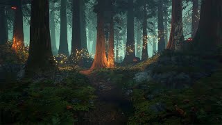 Enchanted Forest  Music amp Ambience ✨🌲🧚🏻 [upl. by Lolita]