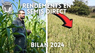 BILAN des RECOLTES 2024 SEMIS DIRECT [upl. by Ralph]