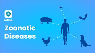 Zoonotic Diseases  Diseases that are Passed from Animals to Humans  MFine [upl. by Goss]