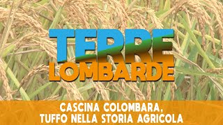 Cascina Colombara tuffo nella storia agricola [upl. by Nilyad240]