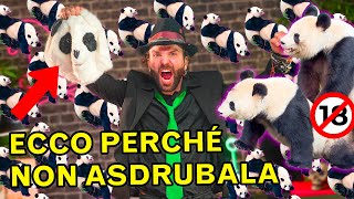 Abbiamo scoperto perché il PANDA non vuole quotpucciarequot forse [upl. by Iggam]