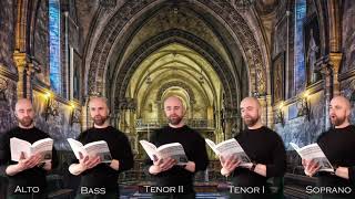 O nata lux  Thomas Tallis  Onevoice chorus [upl. by Kobylak]