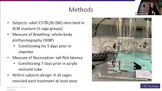 8112023 Marlene McKinney Ramirez Lab [upl. by Shea]