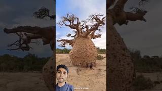 Short Wire Tree of Life Pendant  Making the roots [upl. by Ram]