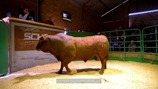 Landbouweekliks  Seisoen 18 Episode 12 Wilhelmus van der Schyff  Schyff Beefmasters [upl. by Seravaj]