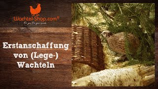 Erstanschaffung von Lege Wachteln  Zusammenfassung WachtelLiveTalk  WachtelShopcom [upl. by Lareneg420]