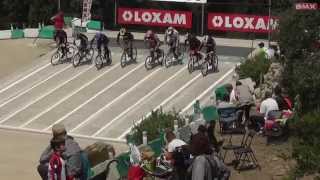 20140525 Bmx Région Provence CORNILLON Cruiser vétéran  Finale [upl. by Portie]