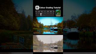 Cinematic ColourGrading Tutorial😍capcuteditcolorgradeeditingcinematicreelscoloureffects [upl. by Tati]