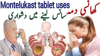 Montelukast 10 mg tablet  Myteka tablet 10 mg uses  Floaid 10 mg uses  allergy aur dama ka ilaj [upl. by Aleta]