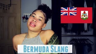 Bermuda Slang 🇧🇲  Masala Shalexis [upl. by Acsicnarf]