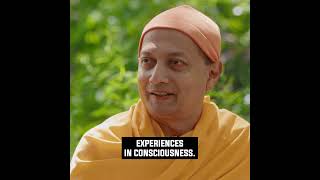 Consciousness is SelfLuminous  Swami Sarvapriyananda [upl. by Eedrahc]