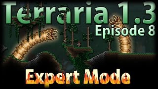 Terraria 13 Expert Mode  Episode 8  Bad Luck Baum Strikes Again [upl. by Ardenia]