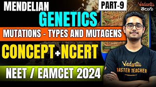 Mendelian Genetics  Mutations Types amp Mutagens  NCERT Biology  NEET 2024  EAMCET 2024  Ajay [upl. by Bogoch]