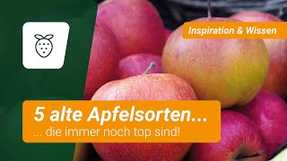 5 alte Apfelsorten die immer noch top sind 🍎 [upl. by Ttehr87]