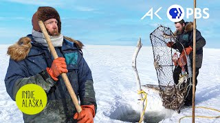 Crabbing beneath the Bering Sea Ice in Nome Alaska  INDIE ALASKA [upl. by Vaden]