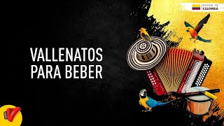 Vallenatos Para Beber Video Letras  Sentir Vallenato [upl. by Ploch]