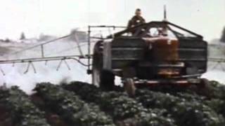 Pesticide Use in the USA 1958 CDC [upl. by Ettenom]