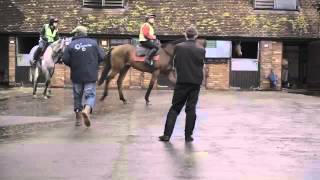 Betfair At The Races News Ident Paul Nicholls [upl. by Augie]