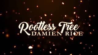 Damien Rice  Rootless Tree Lyrics [upl. by Affra945]