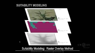 Introductory Overview of Suitability Modeling [upl. by Elfrida]