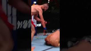 Jiri Prochazka KO Dominick Reyes  UFC Fight Night [upl. by Neale]