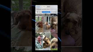 Astuce iOS 17  personnaliser les fiches contact sur ton iPhone ios17 apple iPhoneshorts [upl. by Gorlin]