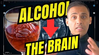 The Neuroscience Behind Alcohol 10 Ways Alcohol Affects Our BRAIN [upl. by Langan571]