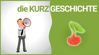 die Kurzgeschichte  Merkmale  DiB [upl. by Cyrus]