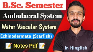 Water Vascular System In Echinodermata  StarFish  Bsc Semester  By Dadhich Sir [upl. by Orihakat777]