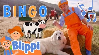 BINGO Song with Blippi  Brand New BLIPPI Dog Song  Fun Educational Songs For Kids [upl. by Newell494]