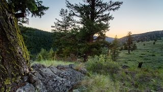 Peachland amp Summerland BC  Free camping easy hiking and lake swimming [upl. by Morice700]