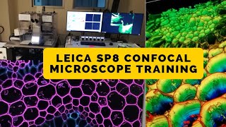 Leica SP8 Confocal Microscope Training Video [upl. by Joiner]