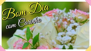 Mensagem de Bom Dia com Carinho para Você ❤️🌹🌞 [upl. by Ellivro]