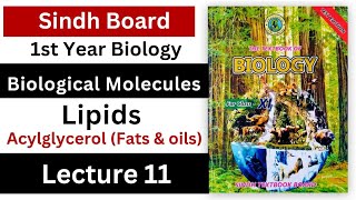 lipids  Acylglycerol fat and oils  biological molecules  class 11 biology Sindh board new book [upl. by Augustine]