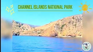 Free Diving at Channel Islands I saw bat rays [upl. by Yung]