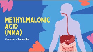 Methylmalonic Acid MMA Blood Test [upl. by Marmawke]