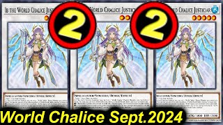 【EDOPRO】WORLD CHALICE DECK POST TCG BANLIST SEPT2024 [upl. by Bennink81]