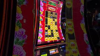 Nice one at Kickapoo kickapoo casinogame slotmachine [upl. by Phox60]